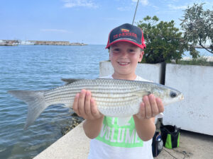 PESCARE DALLA SCOGLIERA: Un'altra Pescata in Mare con il Pane 