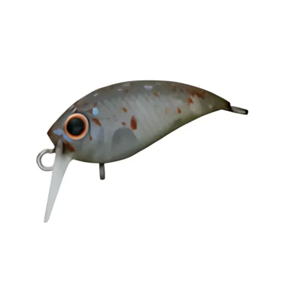 Artificiale Crankbait Daiwa Presso Wabcra JR 2,5 cm Splash Olive Pearl