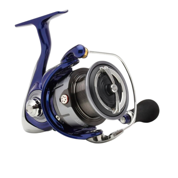 Mulinello Daiwa TDR Match & Fedeer 24