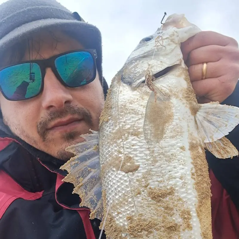 consulenti di pesca webpesca- gianluca pavone