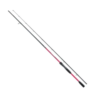 Canna Shimano Sienna Eva Spinning