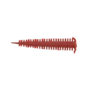 Worm