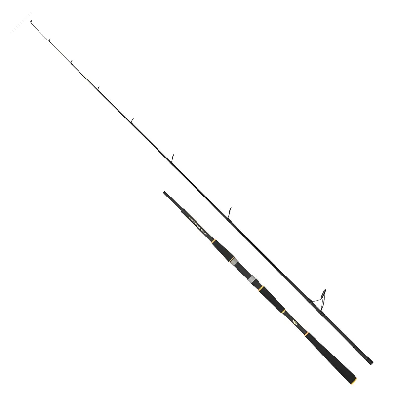 Canna Spinning Seika Sea Sun Twister 2.20 mt 20-50 gr