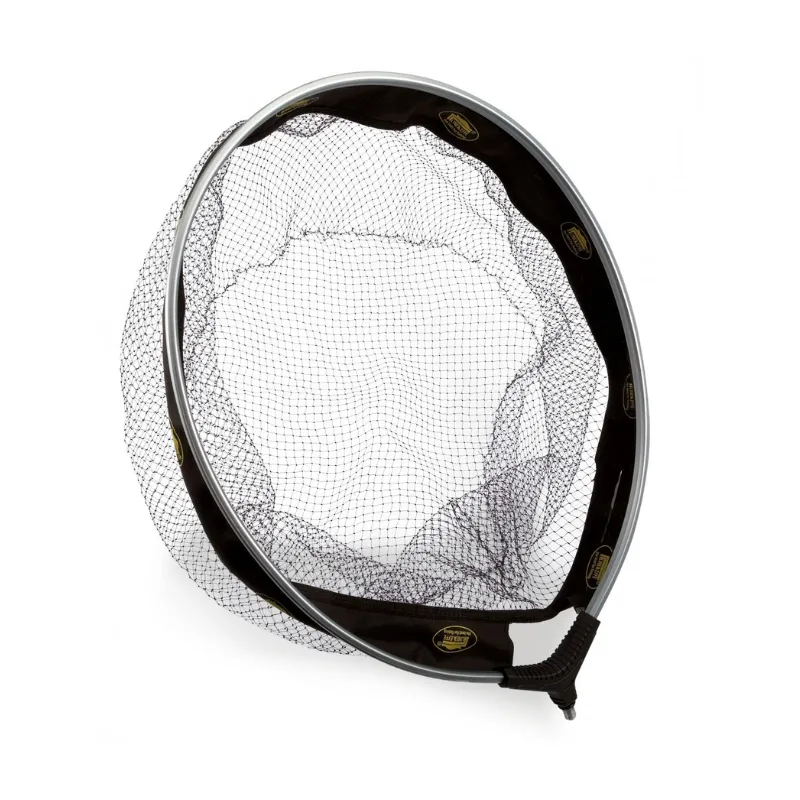 Testa Guadino Lineaeffe Competition Style