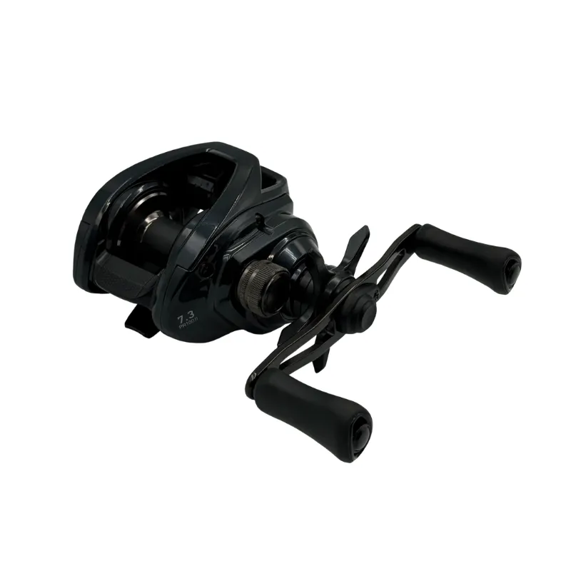 Mulinello Baitcasting Daiwa 26 PR II 100HL