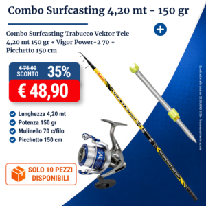 Combo Vektor Tele 4.20 mt 150 gr + Vig Pow 70 + Picchetto