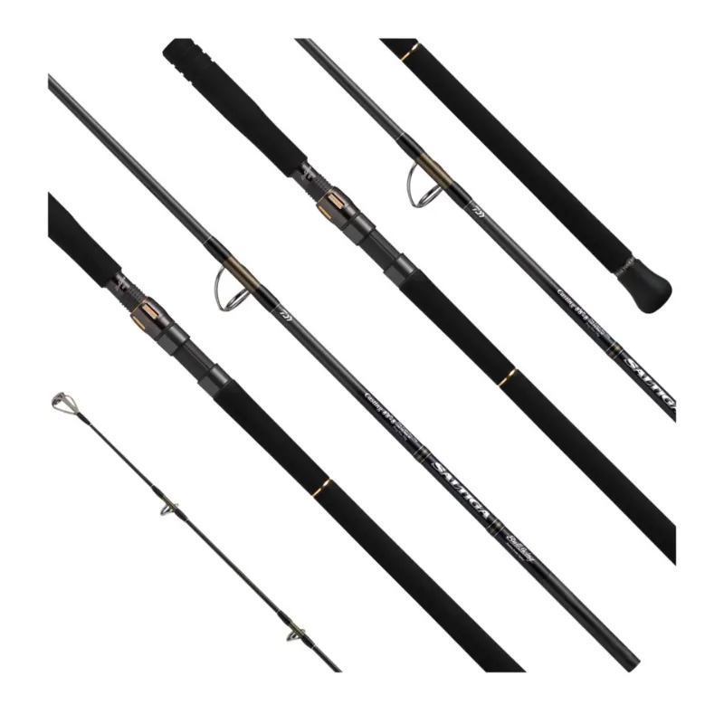 Canna Spinning Daiwa Saltiga 26 C Bullswing