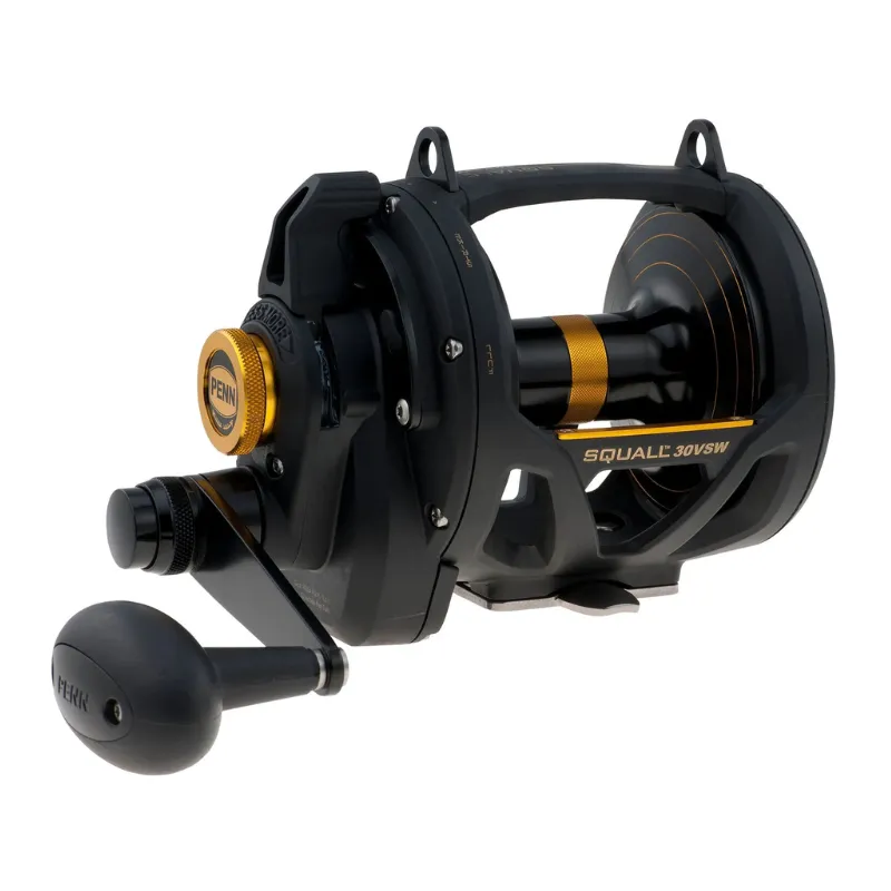 Mulinello Penn Squall 2-Speed